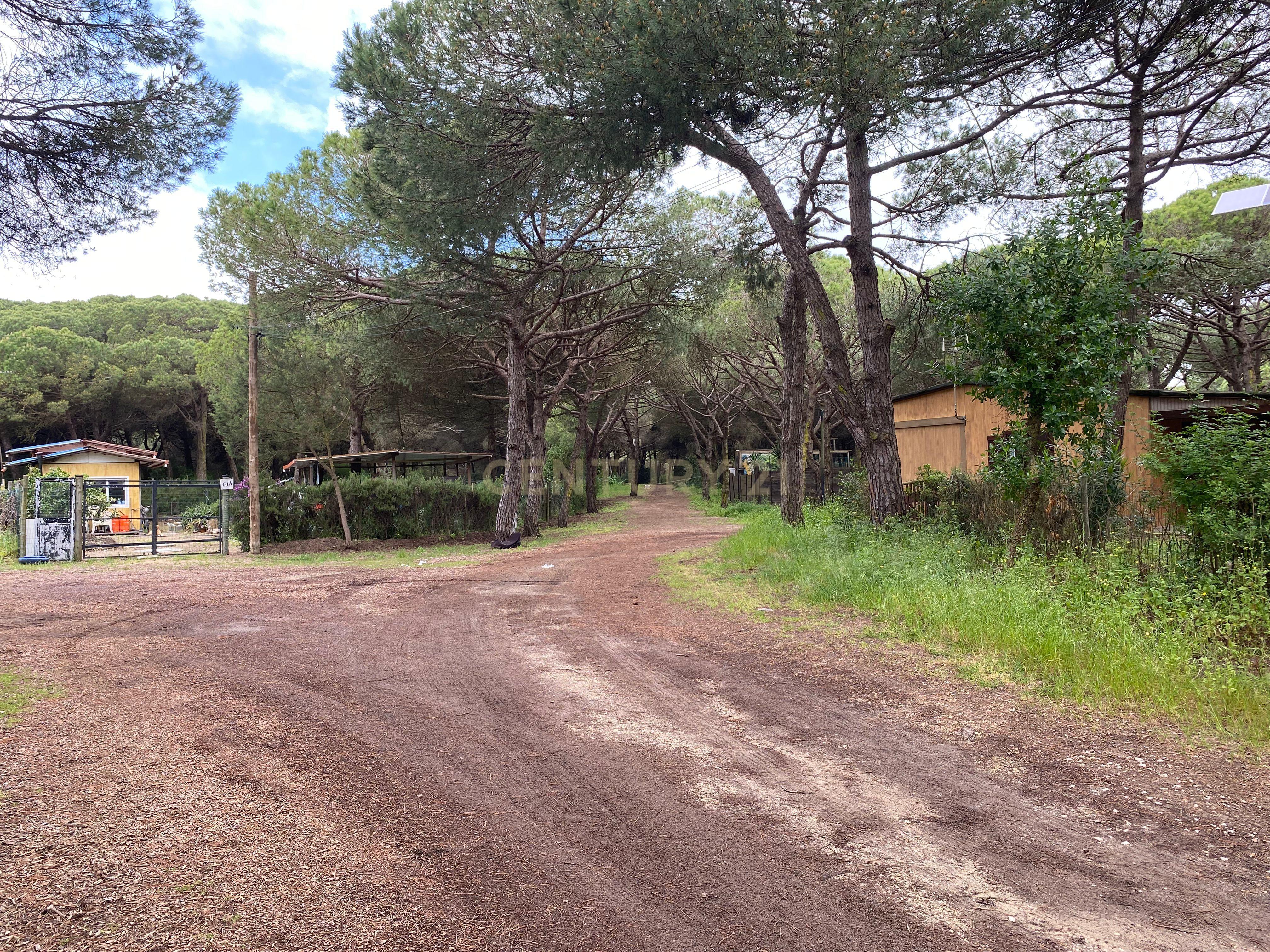 Moradia na Quinta de Zimbral - Charneca de Caparica  - Image 21