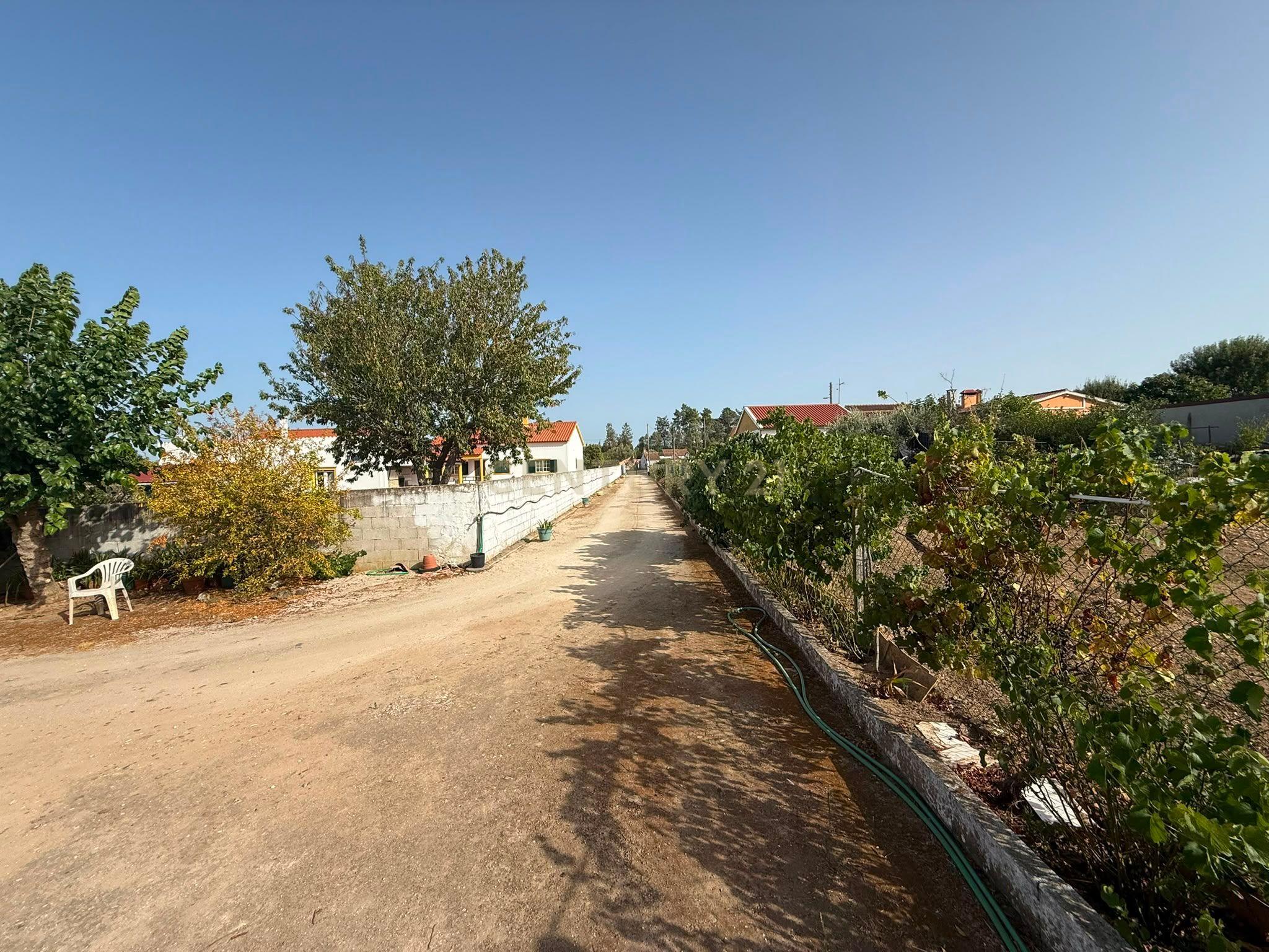 Fotografia 3 de Moradia t2 com 10.280 M² DE TERRENO E UM RIACHO