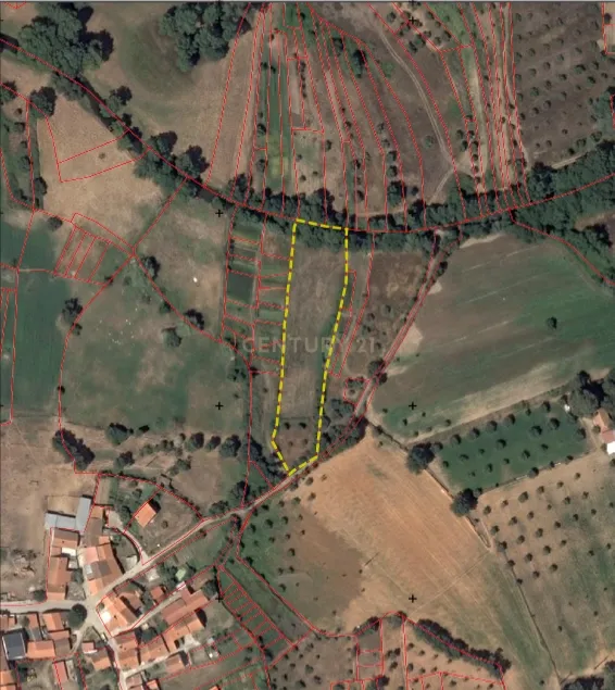 Oportunidade! Terreno de regadio, Benquerença, Penamacor - Image 20