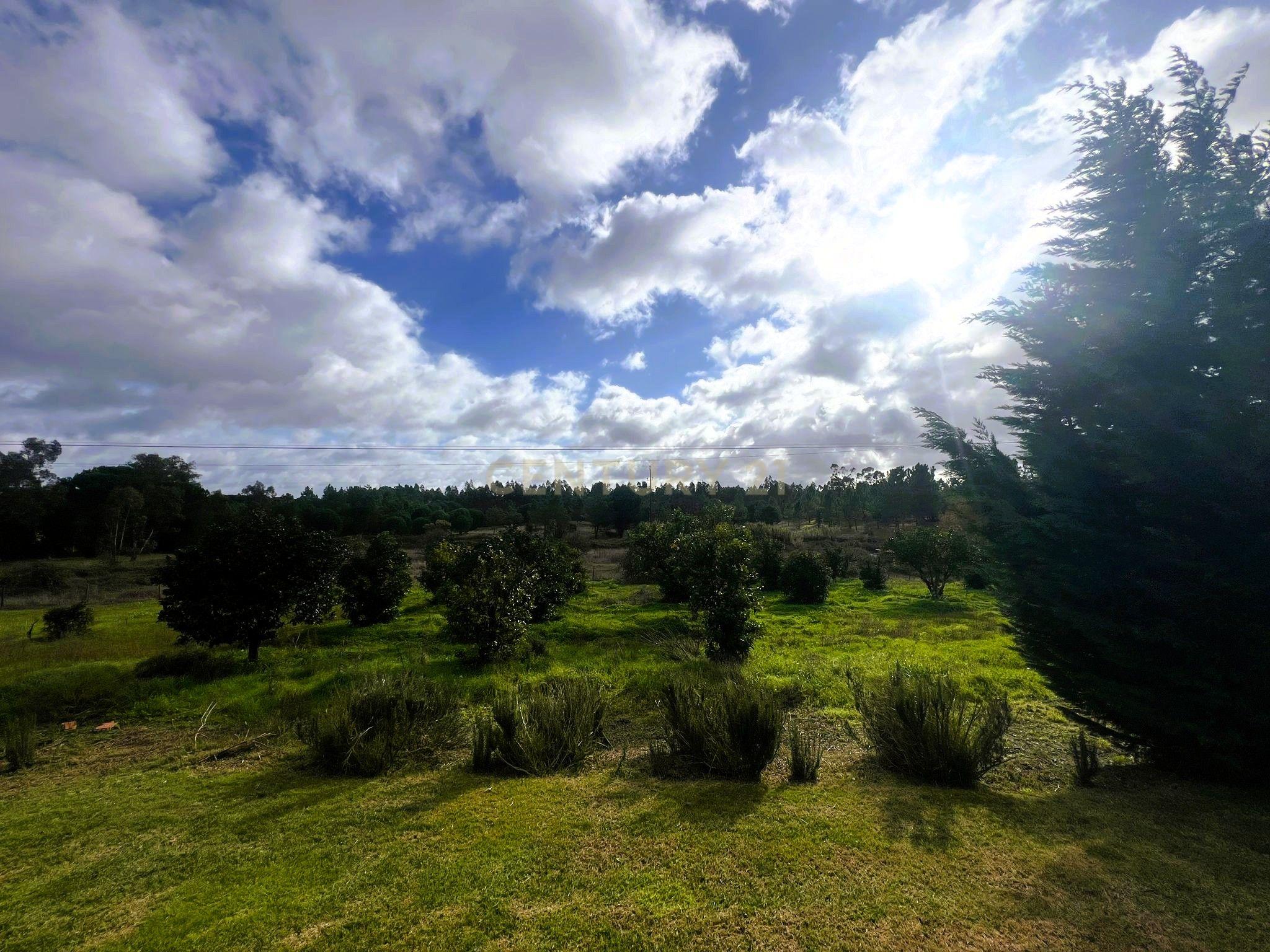 Fotografia 8 de Quinta da Francesa | Quinta com 42.400 m², 2 habitações, piscina, adega e total privacidade em Branca, Coruche