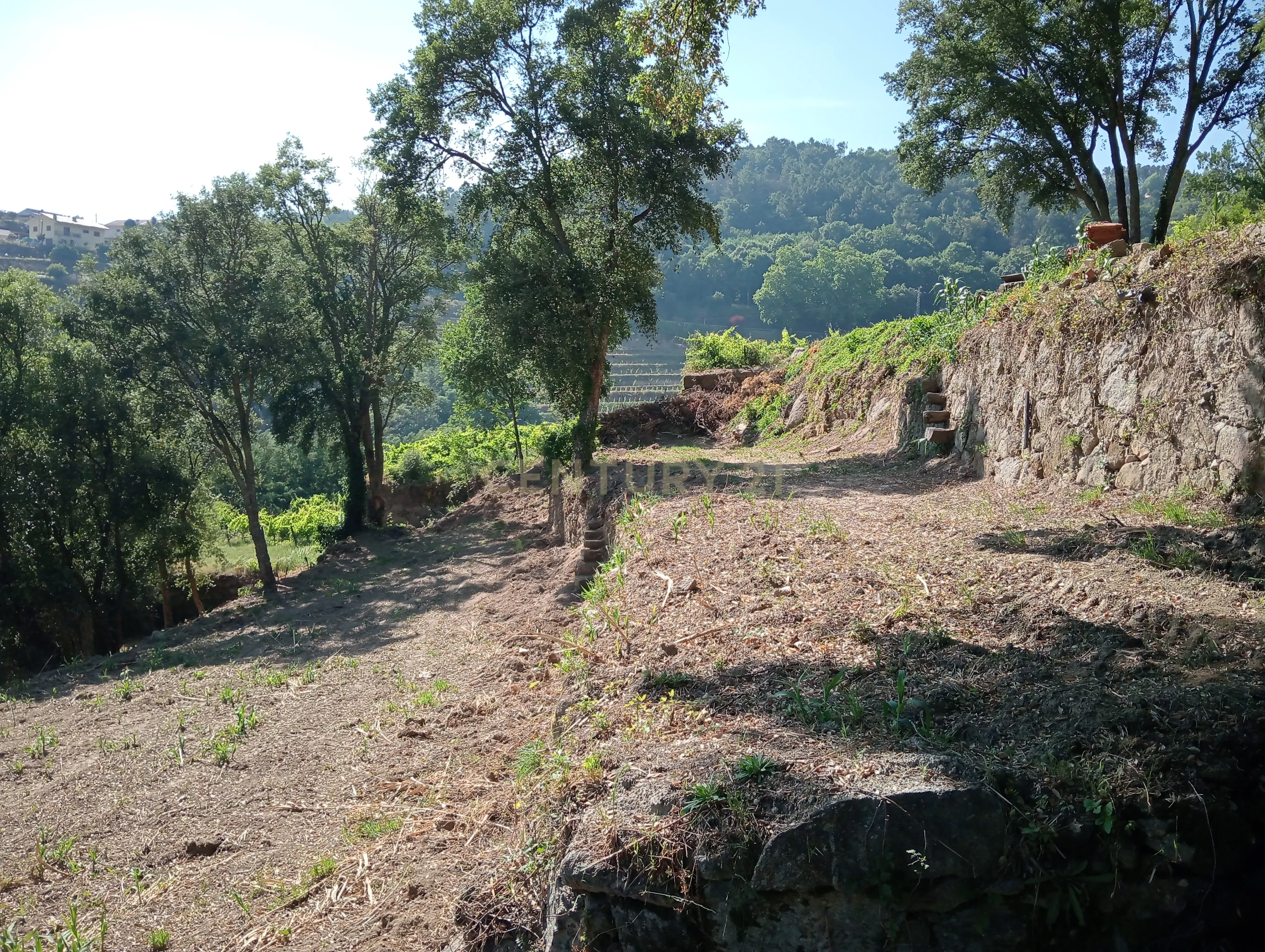 Moradia T2 à venda em Frende, Baião — foto 13