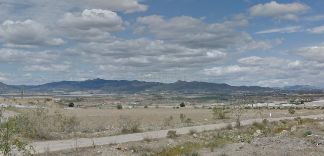 Terreno - Image 6