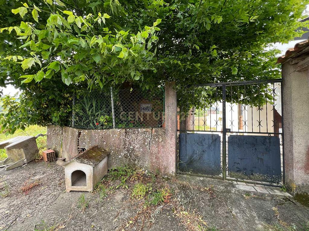 Moradia com Potencial em Rechaldeira, Vilar - Cadaval - Image 43