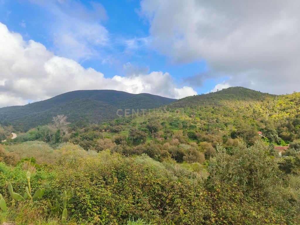 Terreno Rústico com Ruína em Aljezur – 26,88ha de Natureza Pura com Ribeira - Image 10