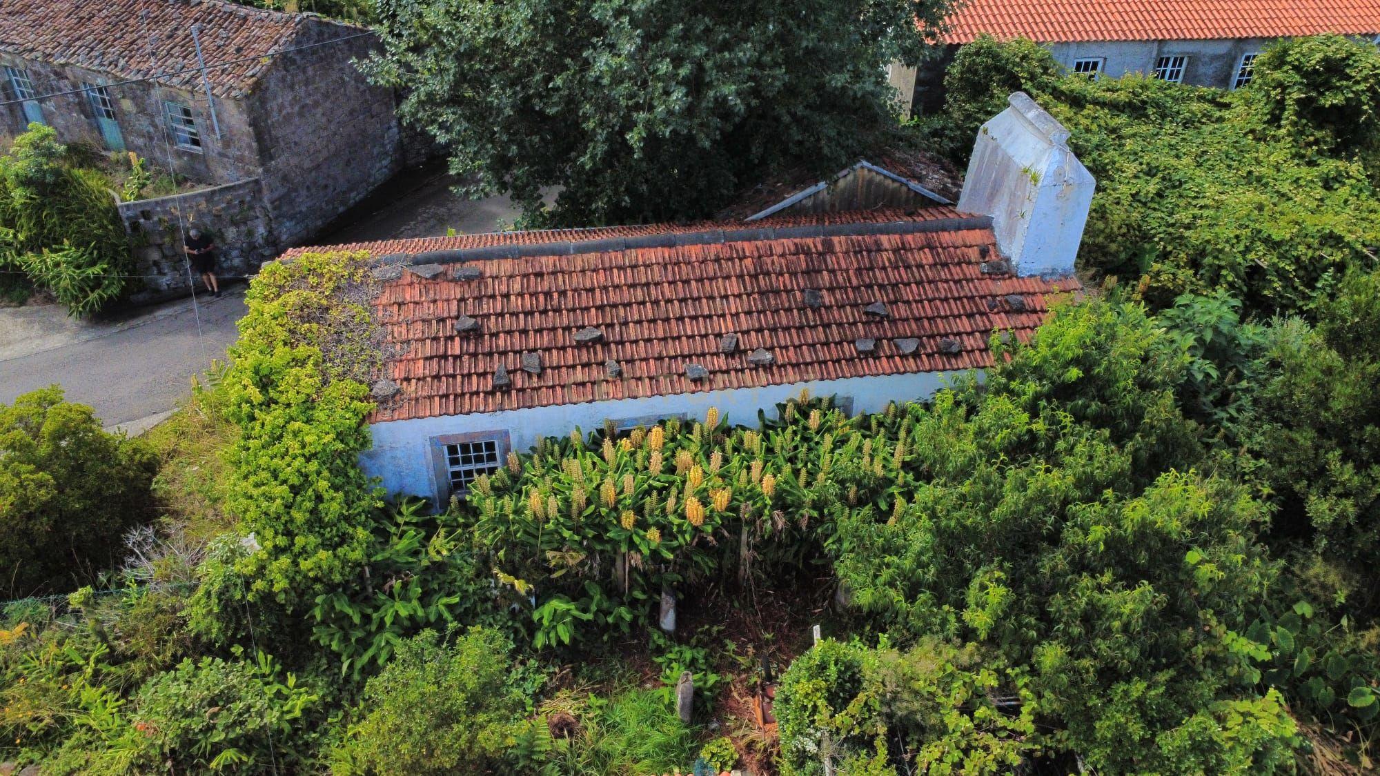 Fotografia 6 de Imóvel com Projeto Aprovado | Fazenda, Santa Cruz das Flores