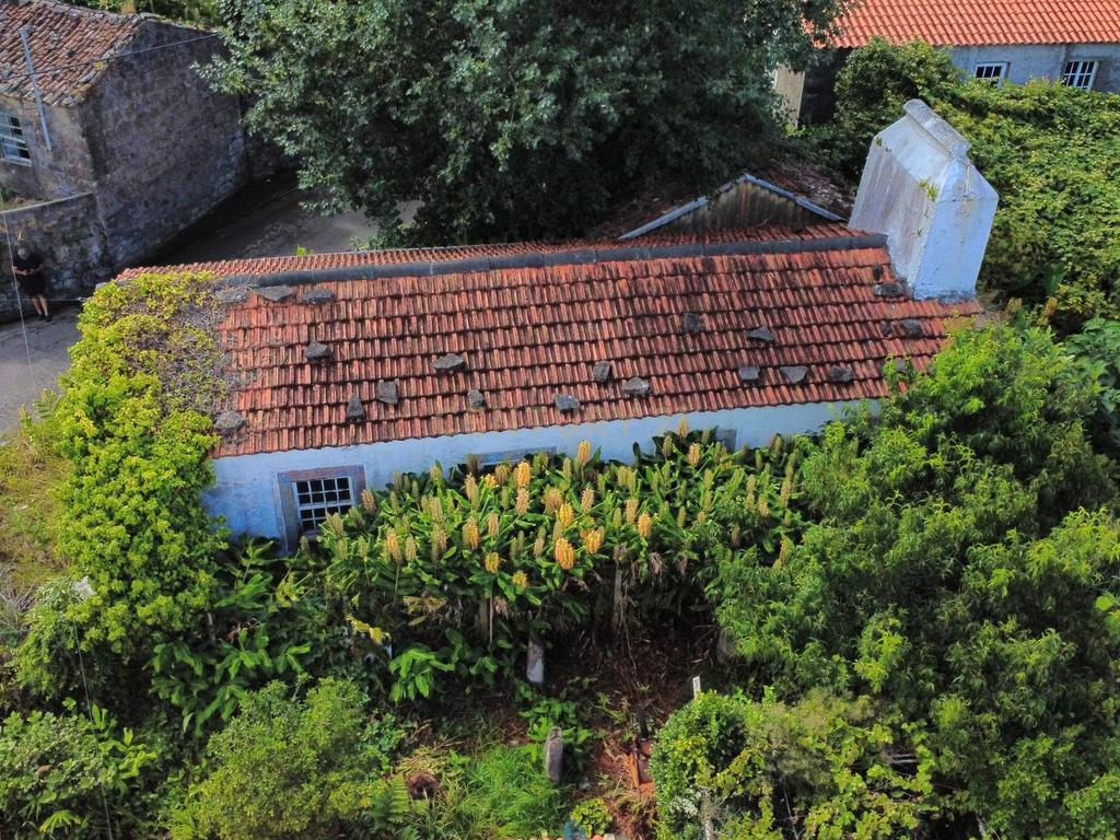 Imóvel com Projeto Aprovado | Fazenda, Santa Cruz das Flores - Image 6