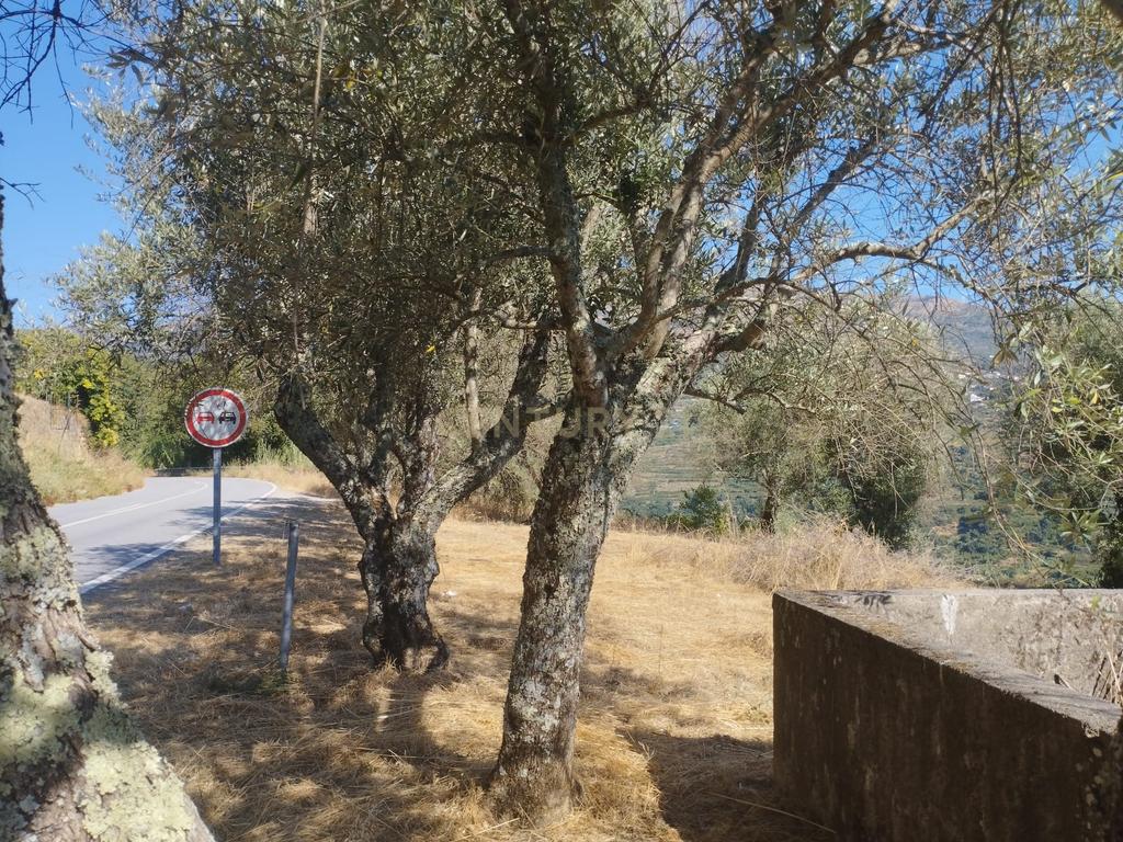 Moradia em ruina repleta de belas histórias, para reconstruir, no coração do Douro em Frende, Baião - Image 57
