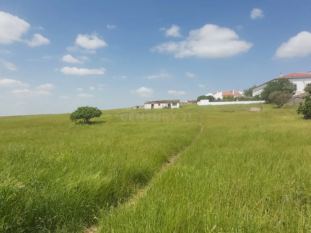 🌟 Oportunidade Única: Terreno Urbano com 12.850 m² a 7 km de Beja! - Image 11