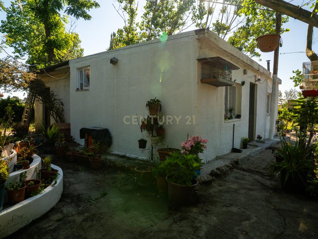 Terreno em Pinhal de Frades - Fernão Ferro - Image 7