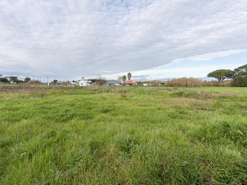 Moradia em Alhos Vedros - Moita  - Image 42