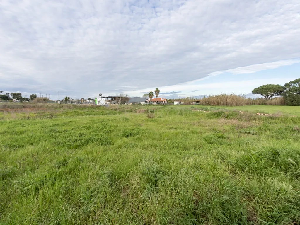 Moradia em Alhos Vedros - Moita - Image 42