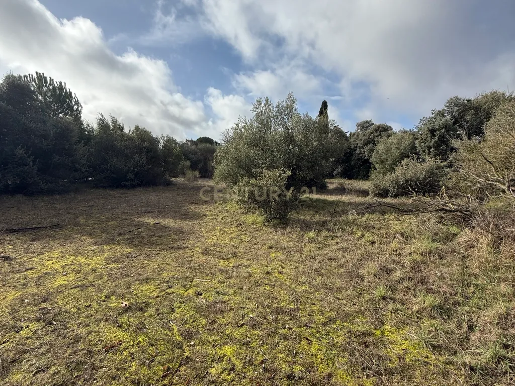 Terreno Urbano em Villar del Olmo, Madrid - 1464m² - Image 10