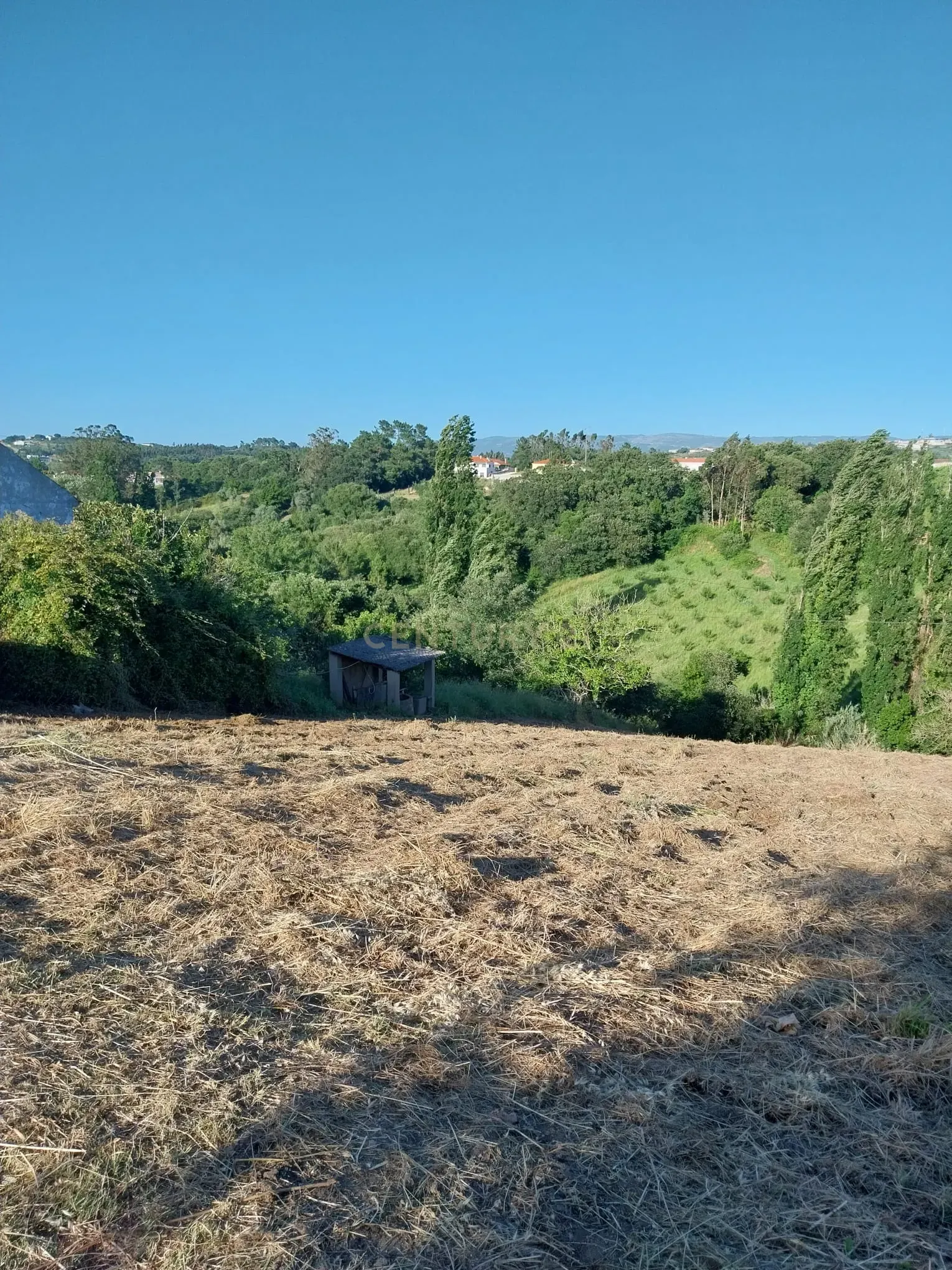 Fotografia 4 de Terreno com Viabilidade de Construção nas Fragosas