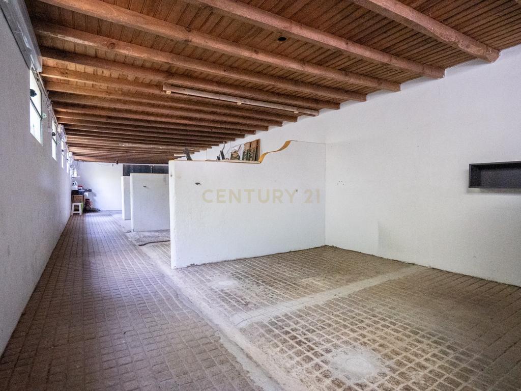 Quinta Equestre a 45 minutos de Lisboa - Image 18