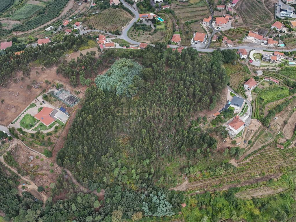 Venda de Terreno Rústico – Excelente Potencial para Projeto Fotovoltaico - Image 6