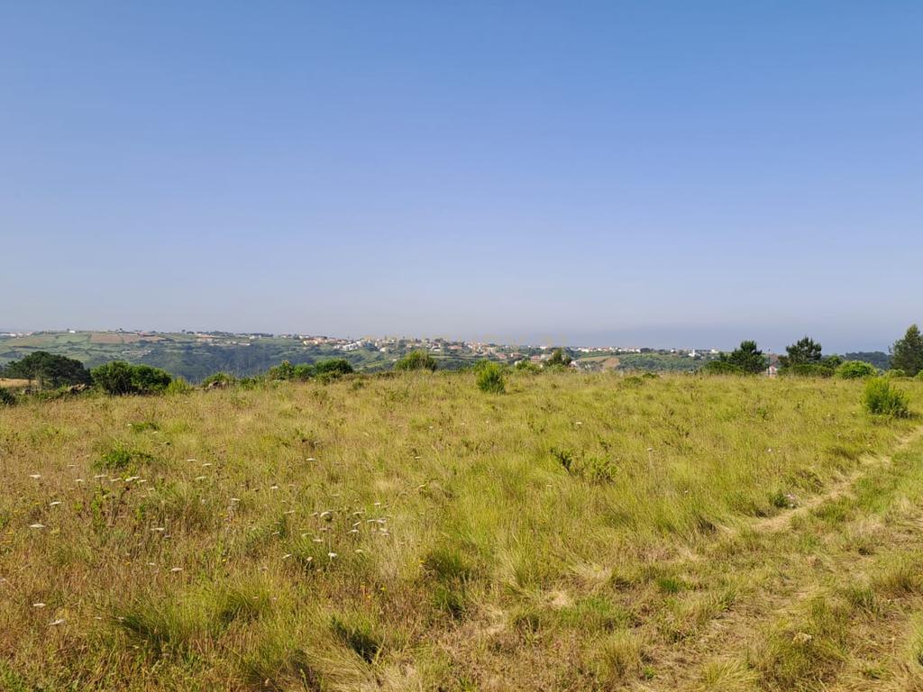 Terreno Rústico com Vista Panorâmica – Forte do Zambujal, Mafra - Image 6
