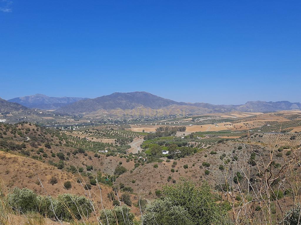 QUINTA RÚSTICA COM 11.000 m² DE TERRENO, PRIVACIDADE E VISTAS PANORÂMICAS EM ÁLORA - Image 26