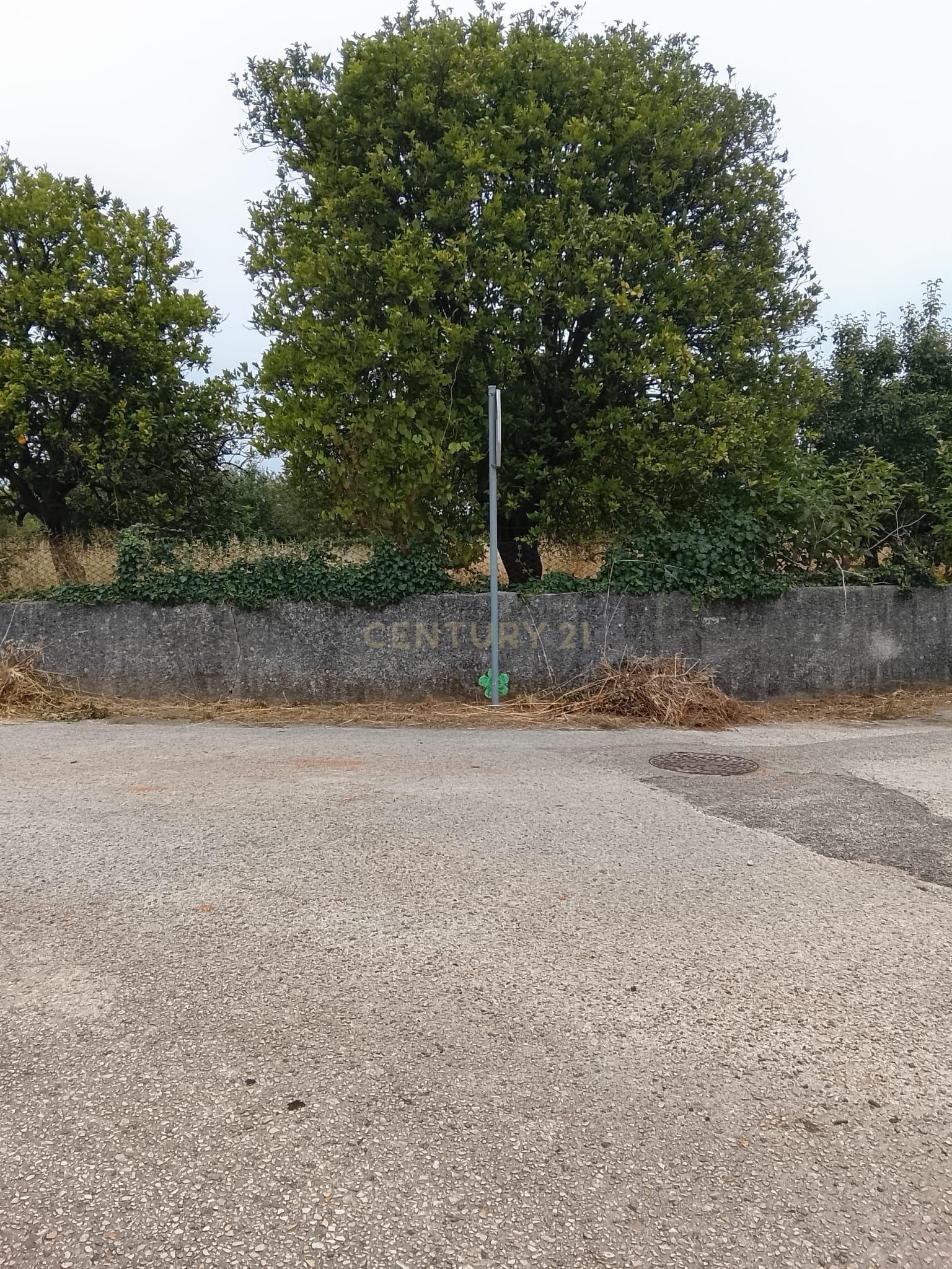 Fotografia 11 de Terreno Urbanizável com 3.115 m² e Armazém de 138 m² | Dois Artigos | Vilarinho do Bairro, Anadia