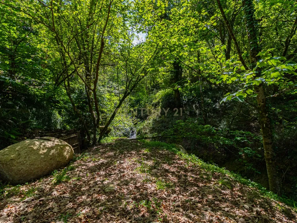 Um Refúgio no Gerês com 2 casas junto ao Rio - Image 52