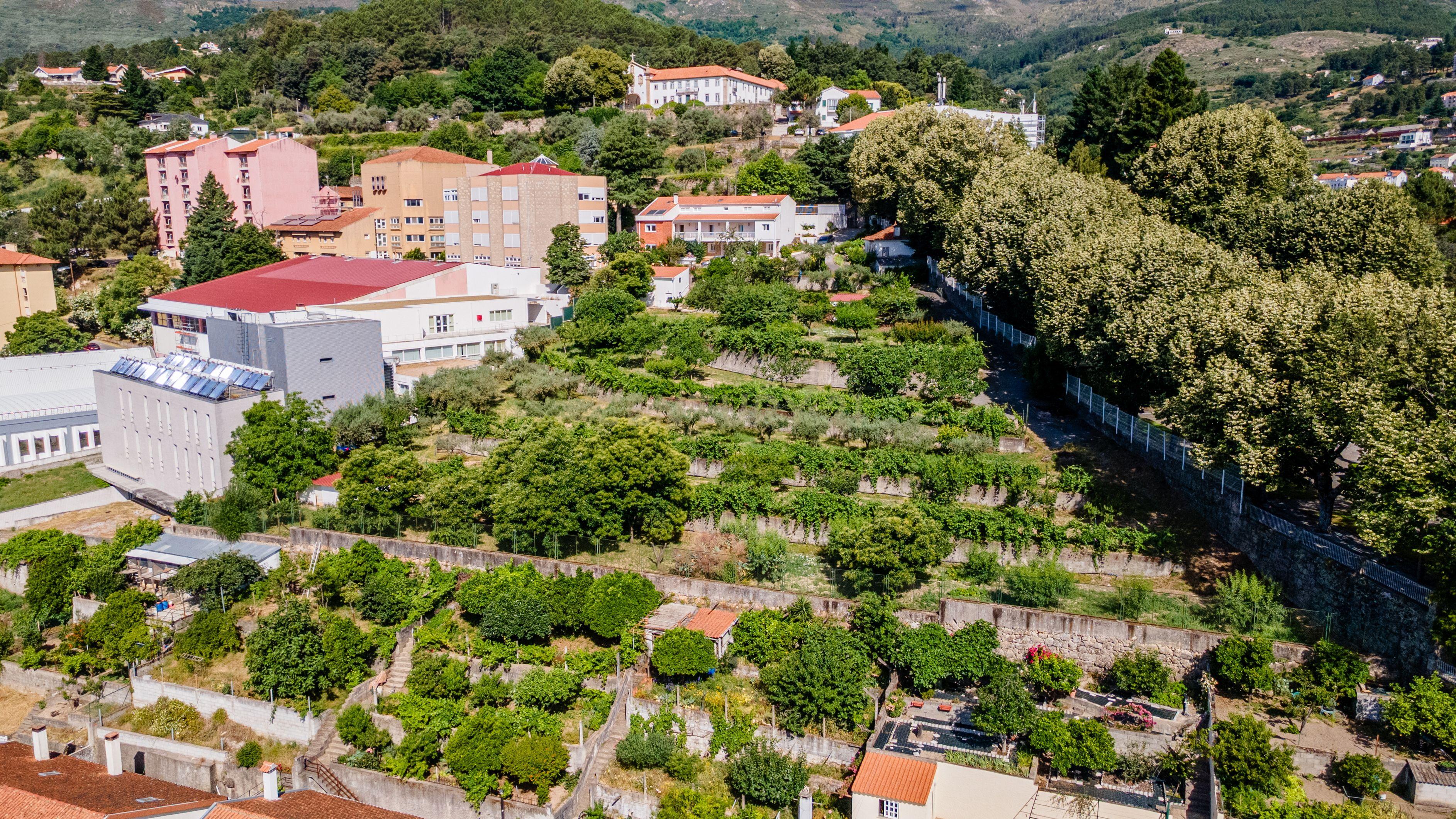 Fotografia 3 de Quinta com cerca de 1 hectare e casa com 11 quartos na Covilhã