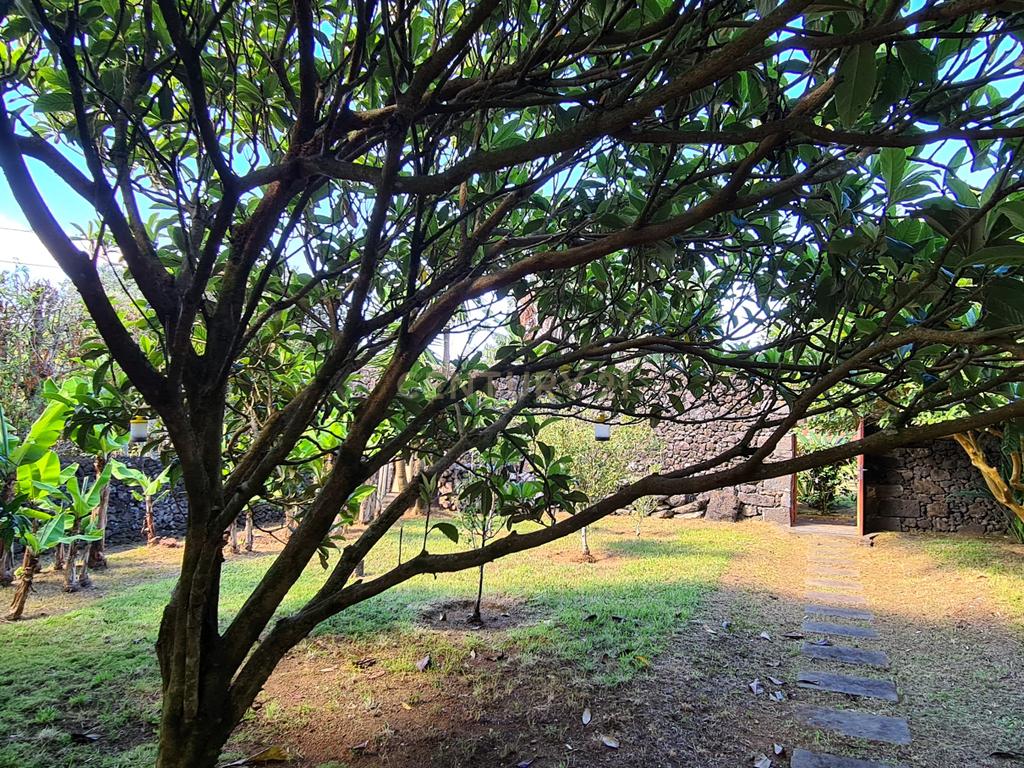  Country House em São Miguel, Açores: Refúgio Privado de Charme com piscina e quinta - Image 91