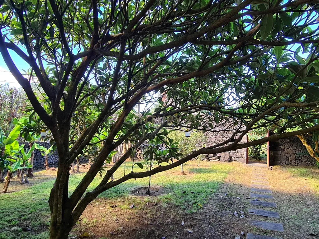 Country House em São Miguel, Açores: Refúgio Privado de Charme com piscina e quinta - Image 91