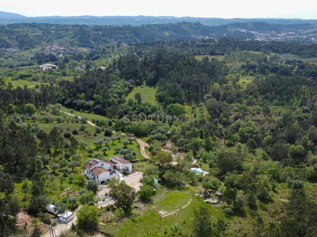 Quinta de Charme no Centro de Portugal – Natureza, Privacidade e Potencial Turístico em 2,9 Hectares - Image 5