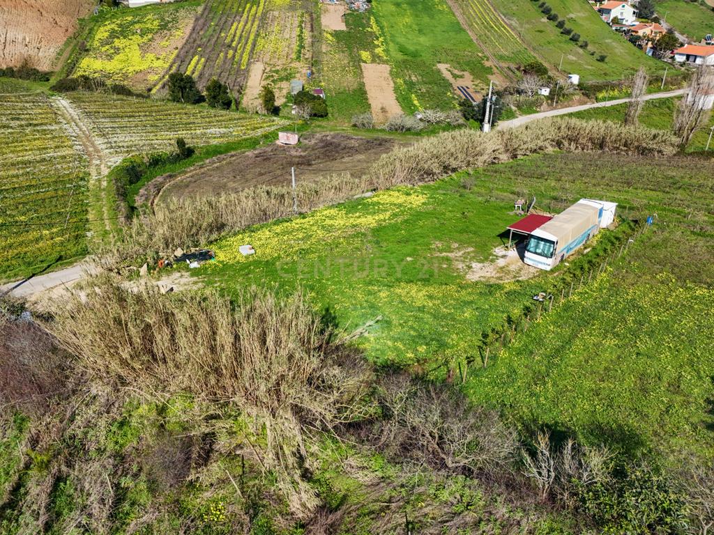 Terreno para Construção - Casal da Serpegeira, Ventosa (Torres Vedras) - Image 8