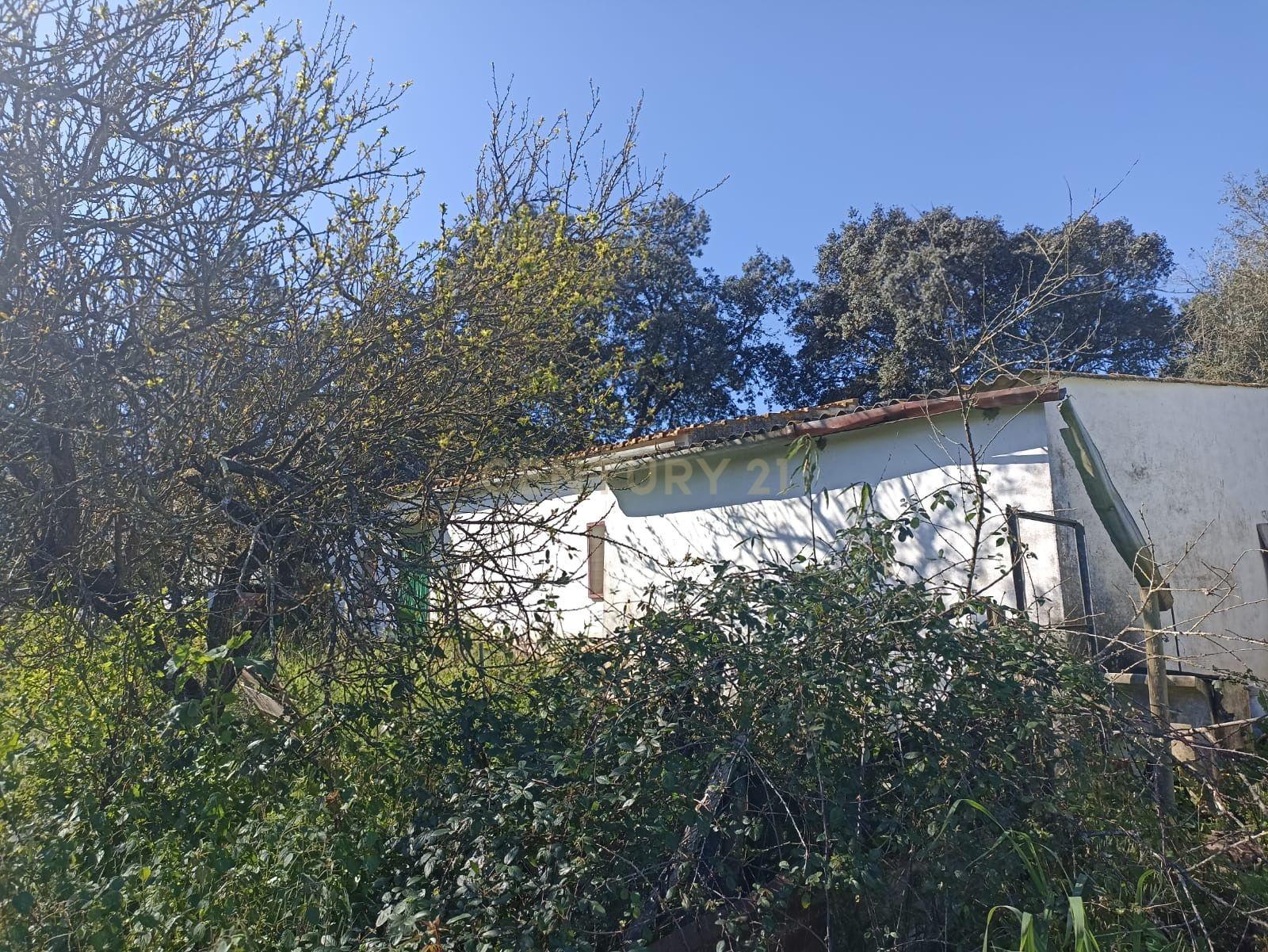 # Terreno Rustico em pleno centro de Montemor -o -Novo - Image 15