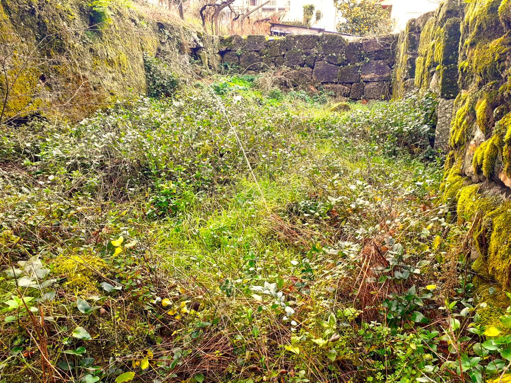 Belíssima ruína em terreno verdejante com vista deslumbrante para o Rio Douro, Baião, Porto - Image 48