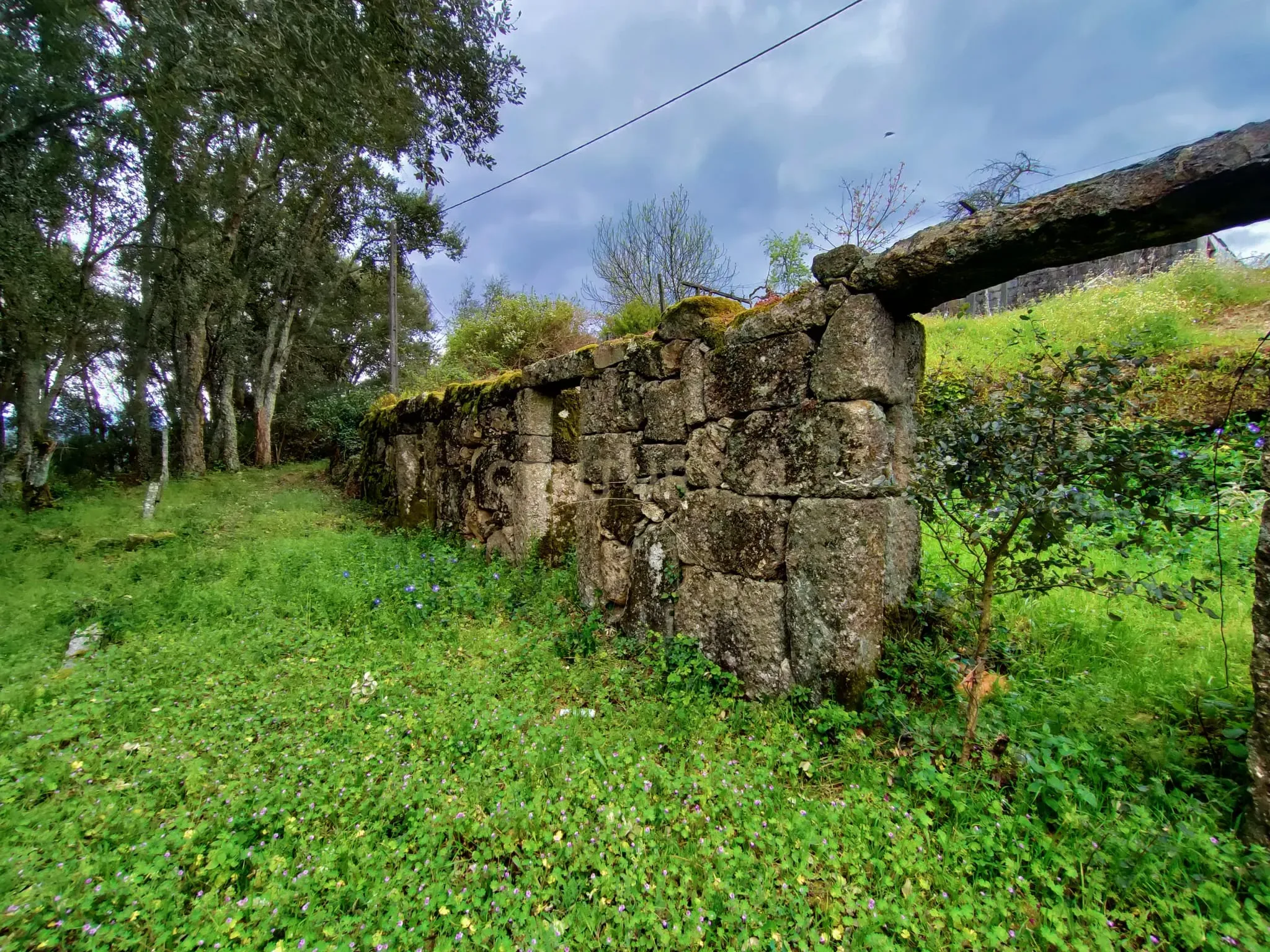 Moradia T1 à venda em Santa Marinha do Zêzere, Baião — foto 6