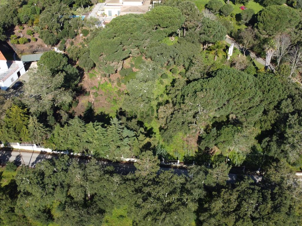 🏡 Terreno para Construção – 2.746 m² | Oportunidade Única Perto de Setúbal! 🌿 - Image 32