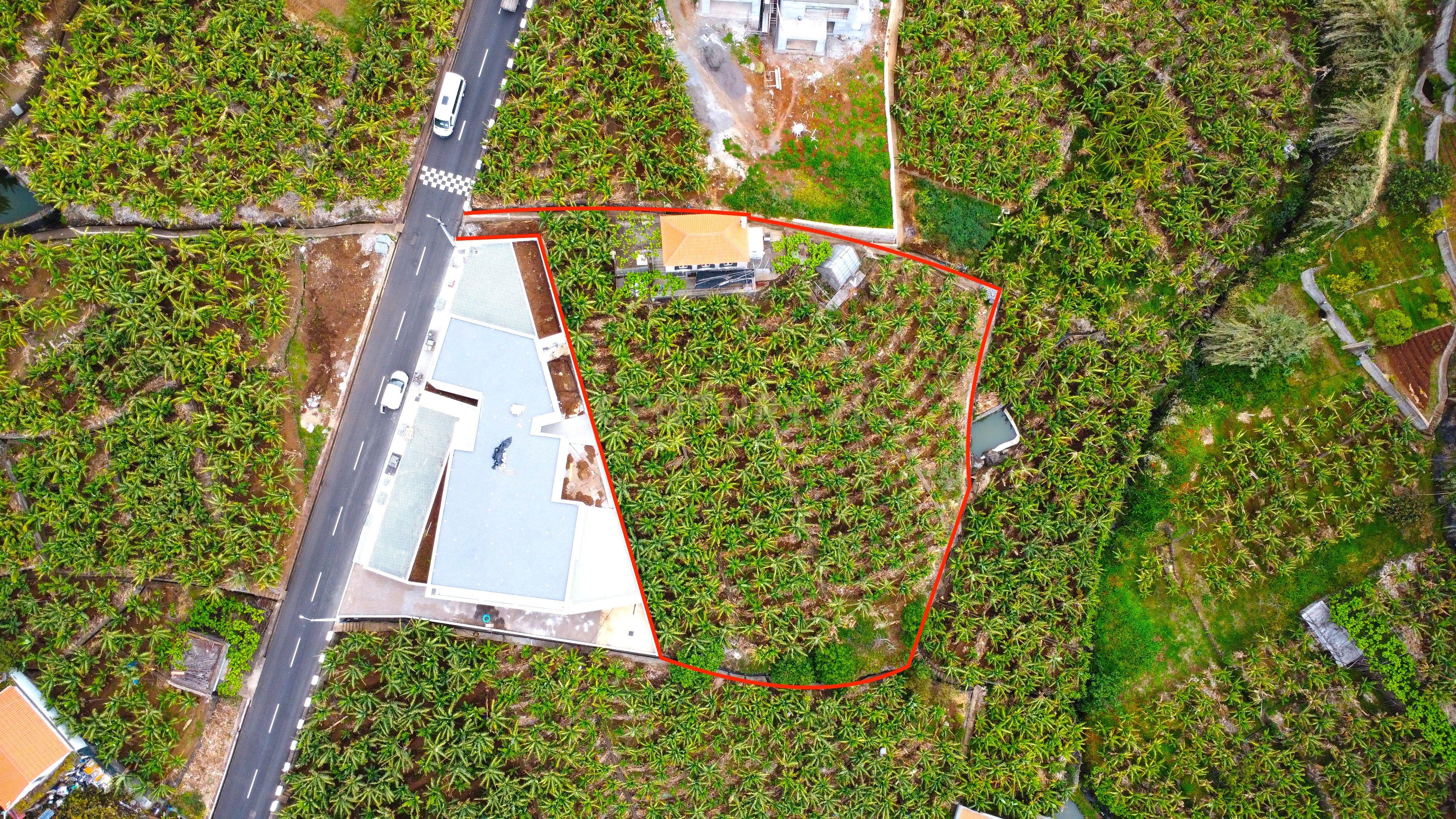 Fotografia 4 de Moradia com terreno de 2000 m² em Ponta do Sol