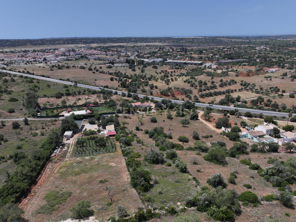 Terreno rústico localizado em Gateiras em Tunes, com uma área total de 14880m². - Image 14