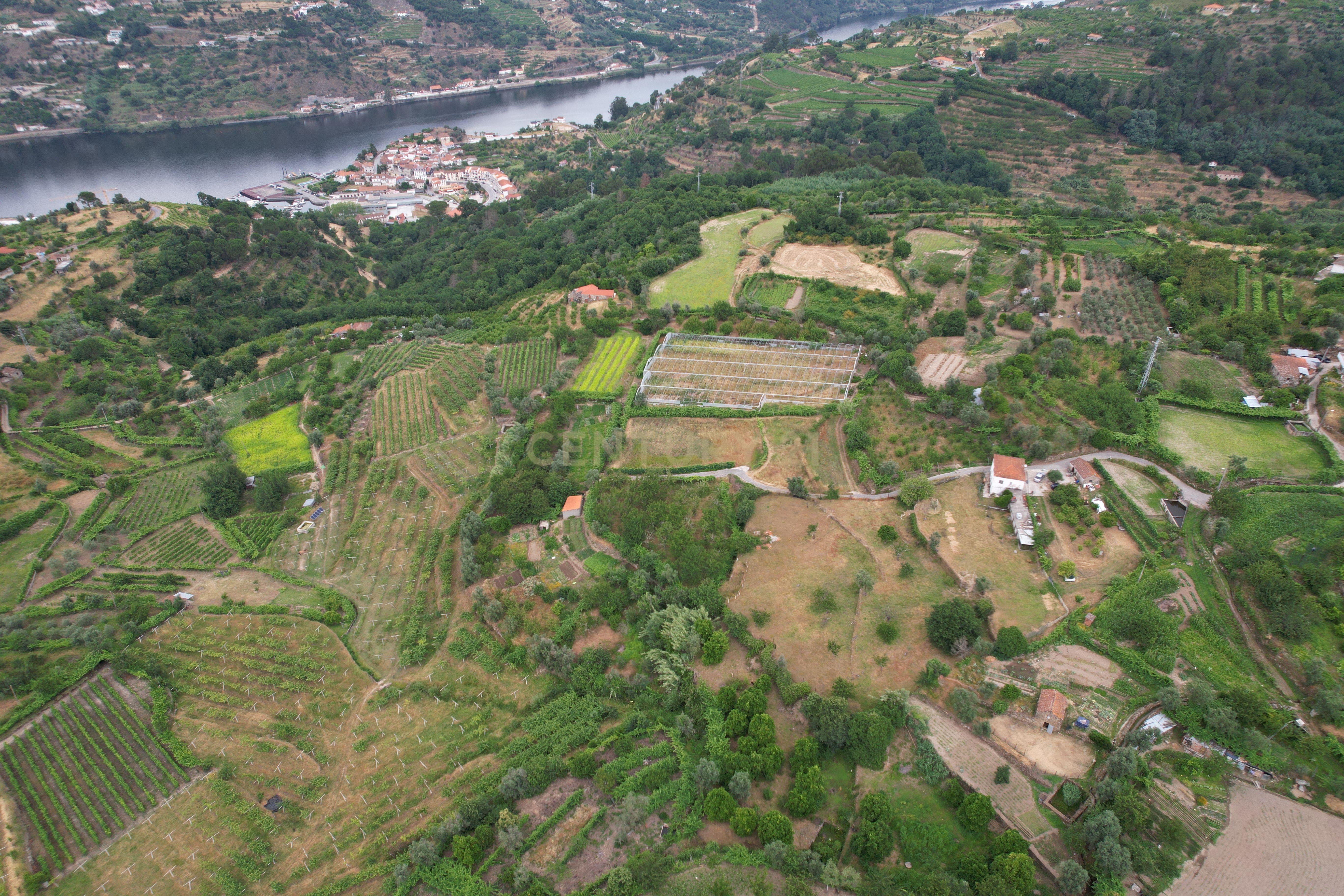 Fotografia 7 de Quinta em Miomães, Resende | Um refúgio rural com cerca de 4 hectares de potencial
