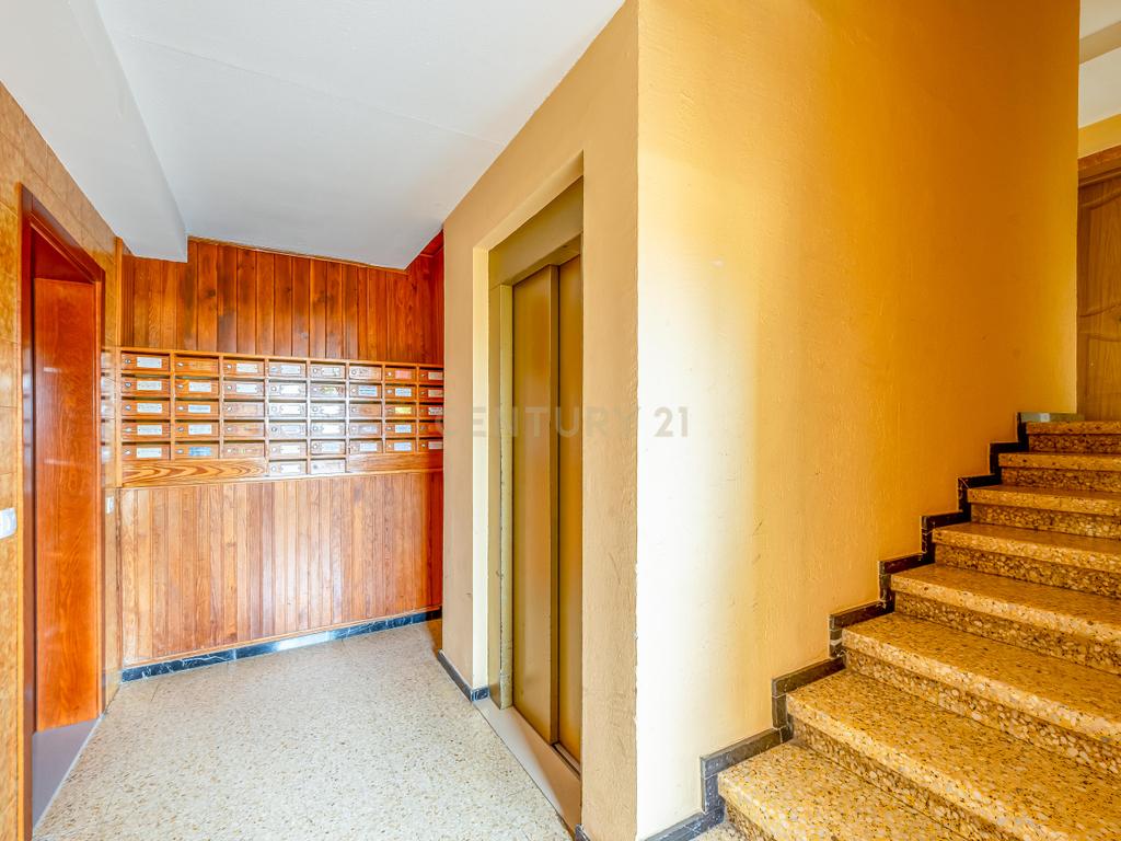 - Image 12