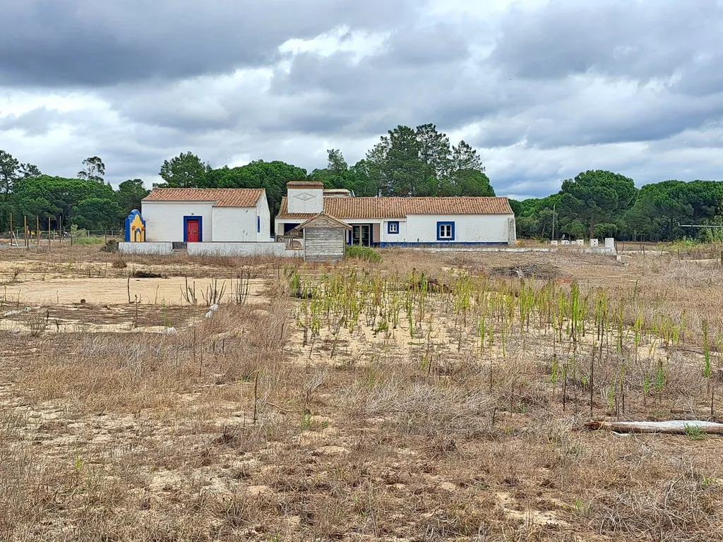 Terreno Rustico 5250m2 com moradia não licenciada Pegões Claros - Image 20