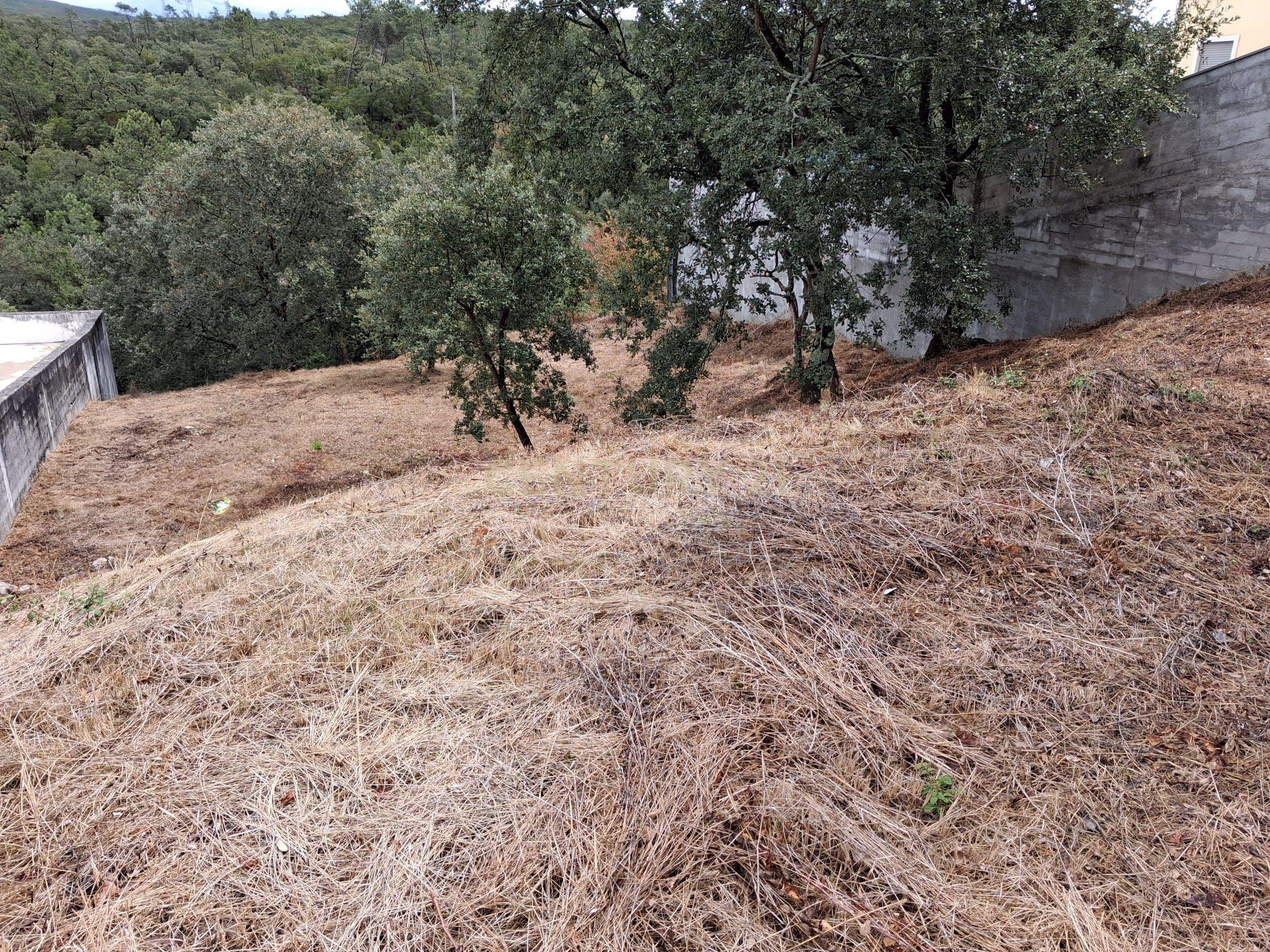 Fotografia 5 de Lote em Zona Nobre de Pombal