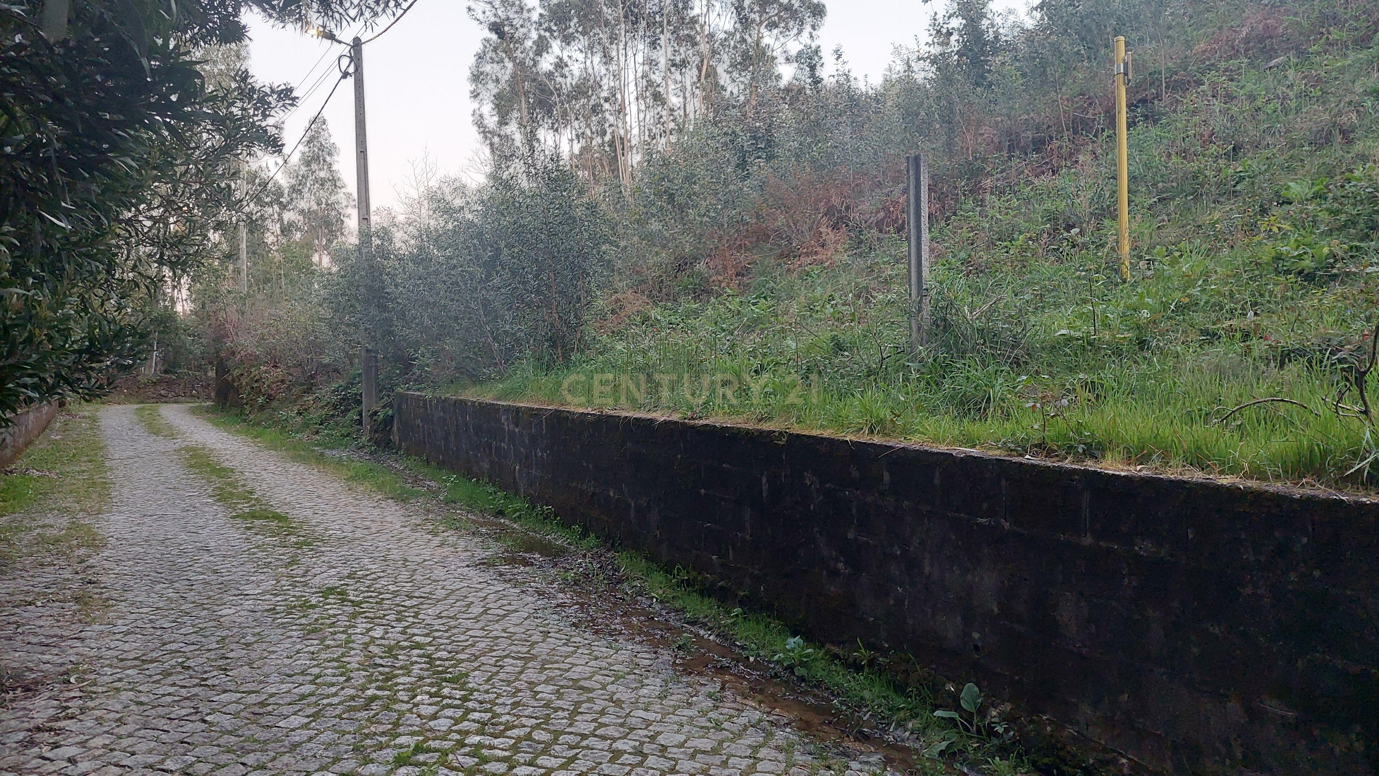 Terreno Rustico em Crestuma, Vila Nova de Gaia - Image 2