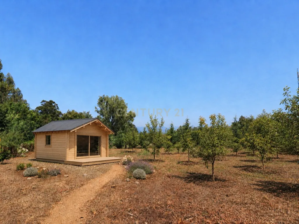 Terreno com lago na Serra da Lousã - Image 2