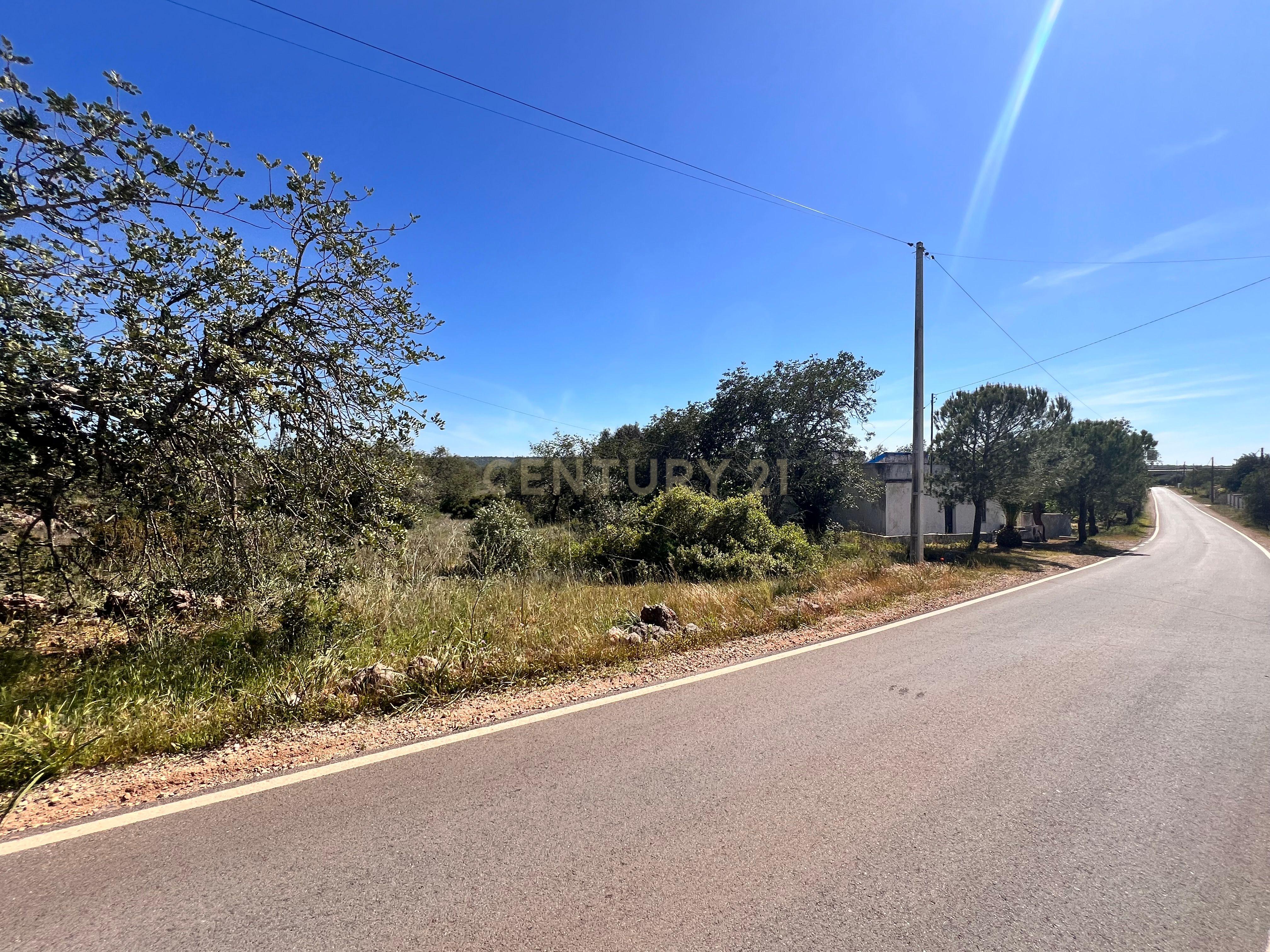 Fotografia 3 de Terreno rústico com 5.840m2 entre São Bartolome de Messines e Paderne