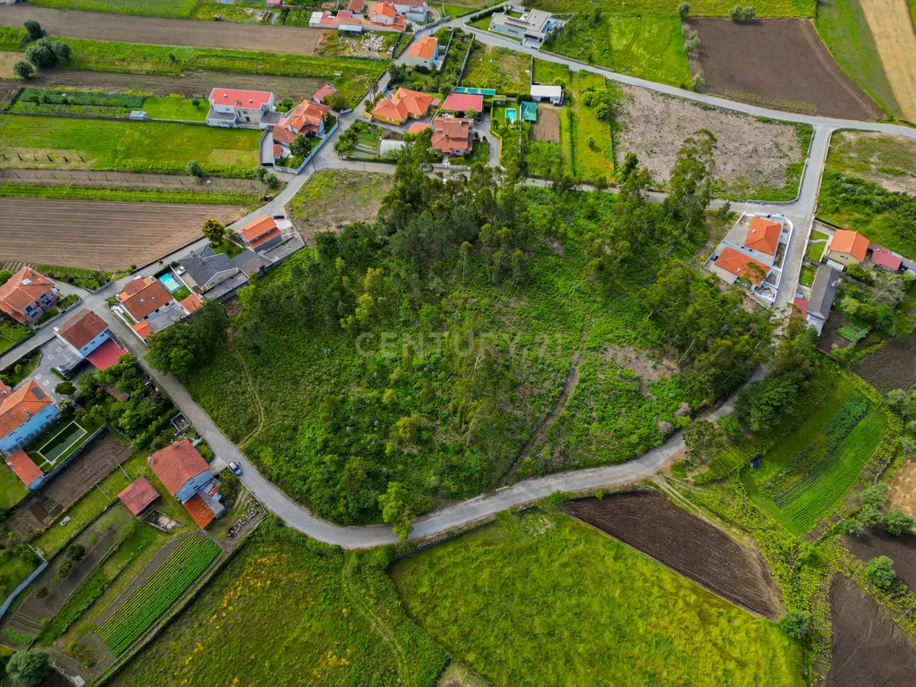 Terreno para Construção - Image 2