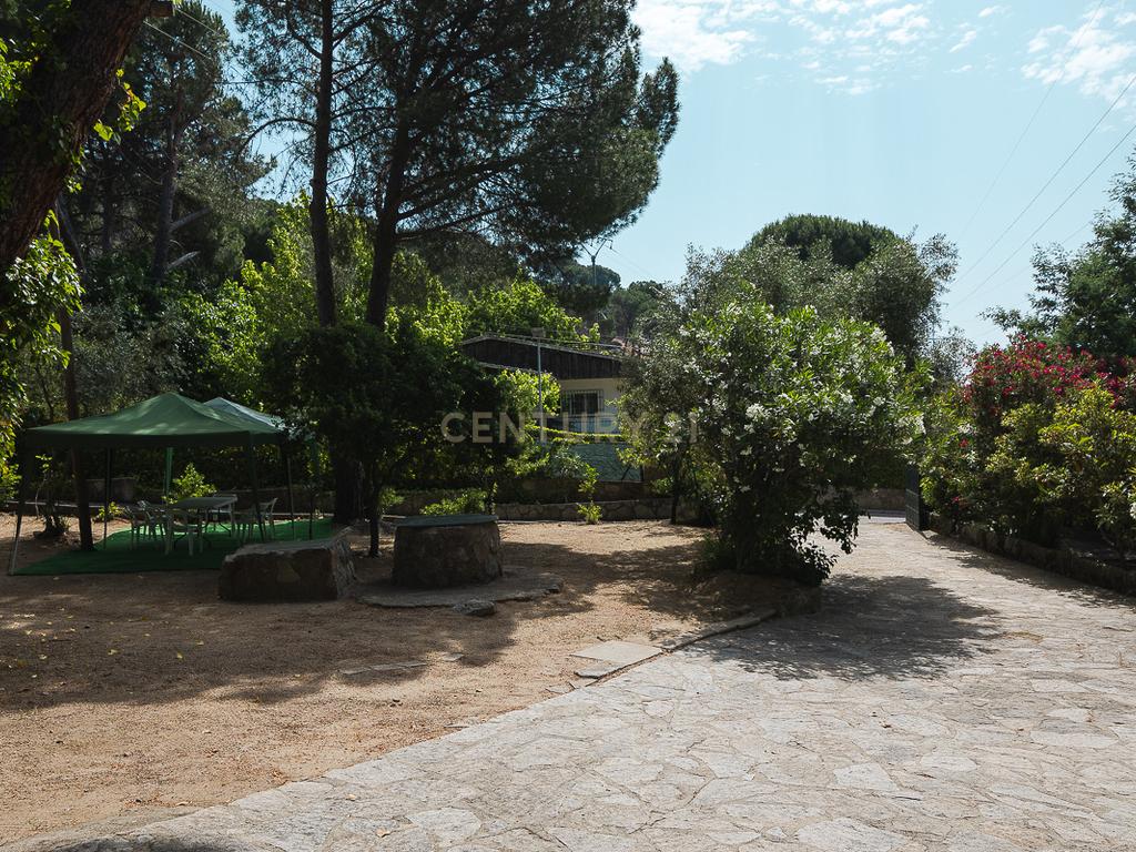  - Image 1