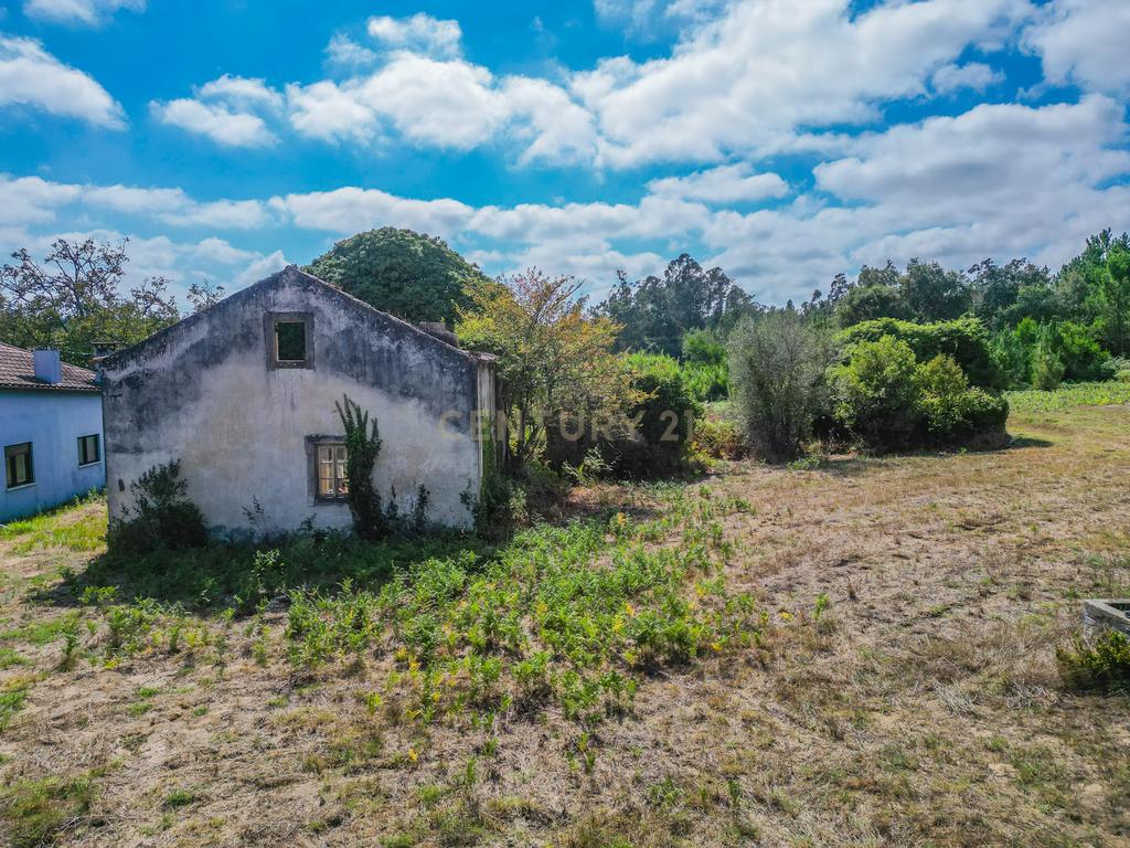 Propriedade com duas casas para reabilitar, terreno e poço na Costeira – Figueira da Foz - Image 15