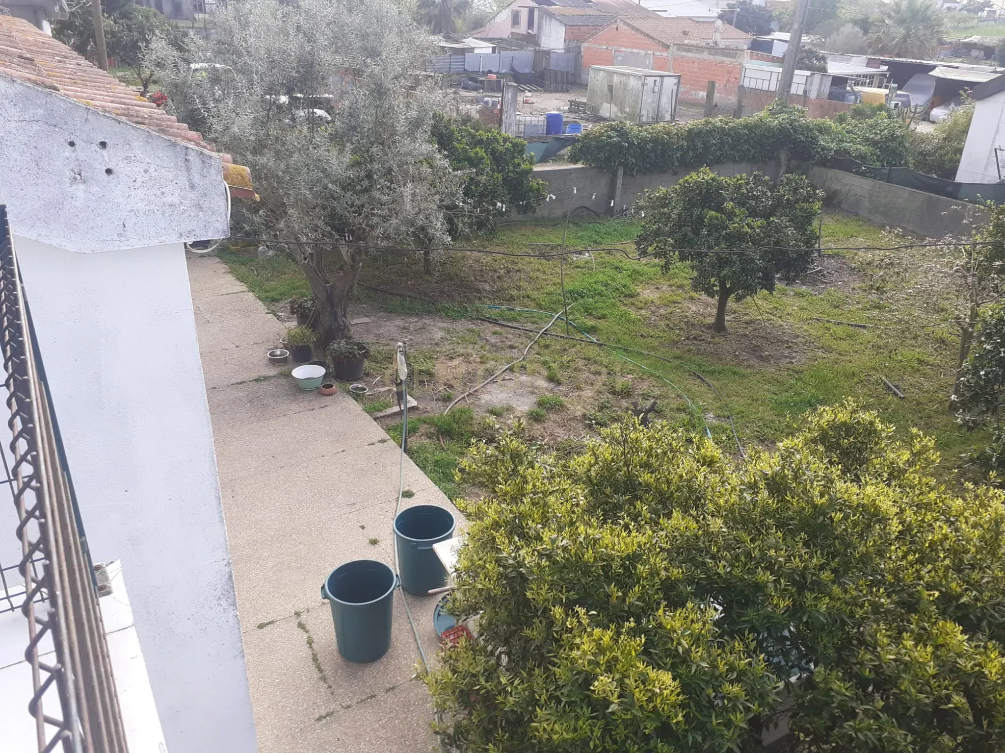 Fotografia 9 de Exclusivo | Terreno com Benfeitorias em Santo Isidro de Pegões