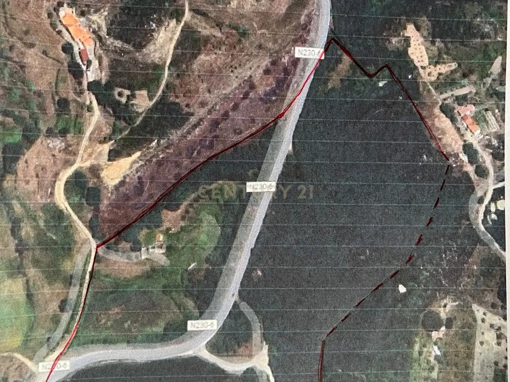 Quinta com Ruína - Oportunidade de Negócio - Image 4