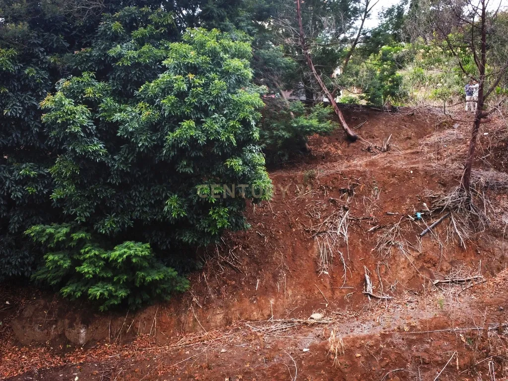 Oportunidade de Investimento - Terreno em Gaula, Madeira - Image 5