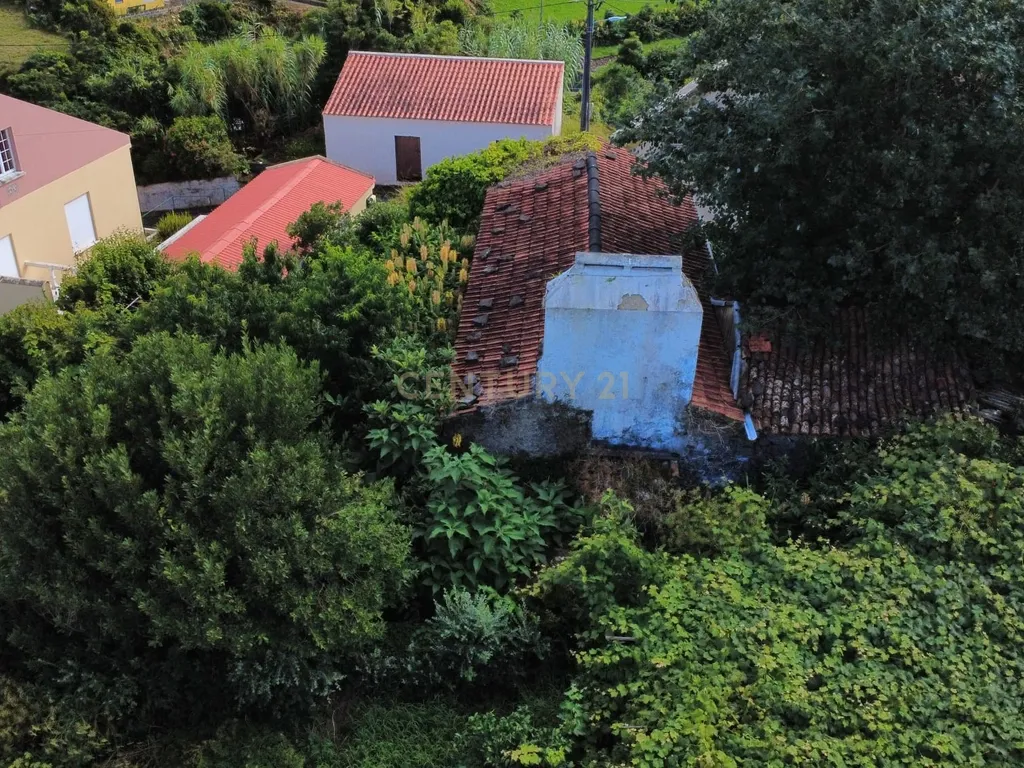 Imóvel com Projeto Aprovado | Fazenda, Santa Cruz das Flores - Image 5