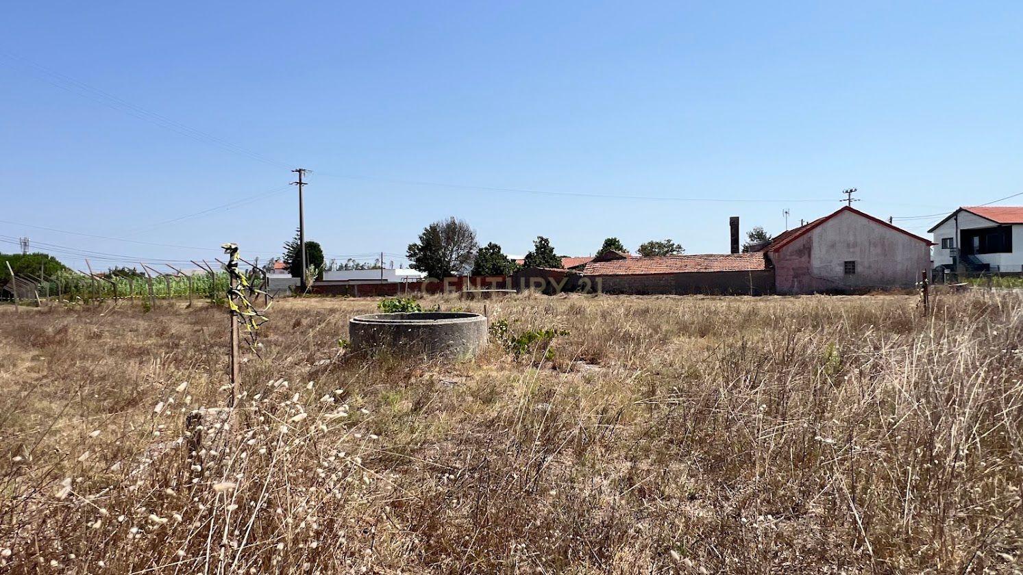 Fotografia 9 de Lote de Terreno em Burinhosa, perto das praias