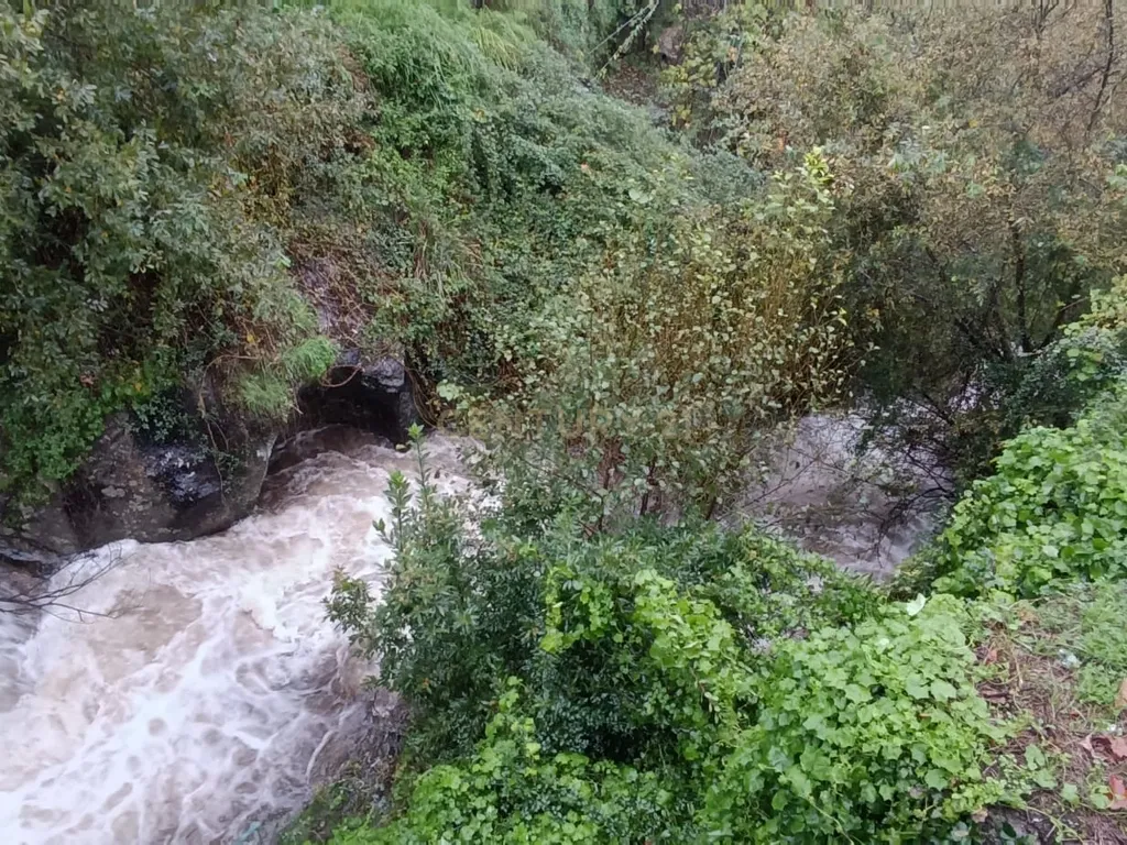 Grande moradia em ruina com terreno junto ao ribeiro, para reconstrução, nas Lages, em Stª Marinha do Zêzere, Baião, Porto. - Image 17